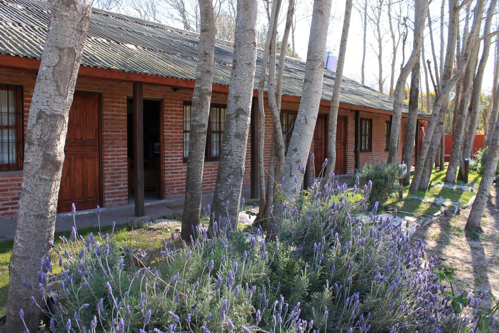 Casabosque * Las Gaviotas